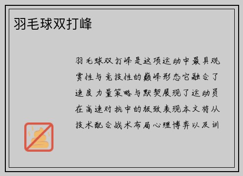 羽毛球双打峰